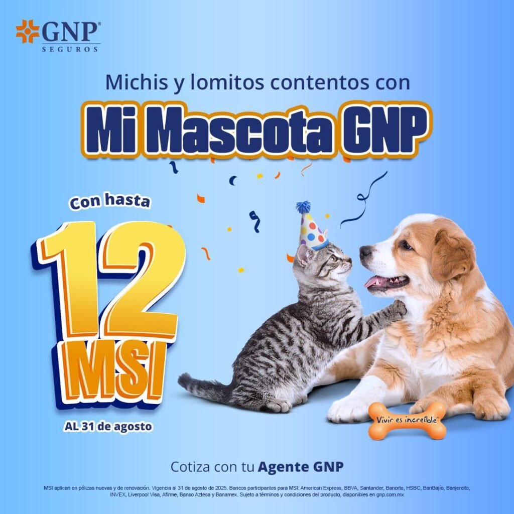 Imagen de WhatsApp 2025-08-16 a las 13.56.44_de78f6f0